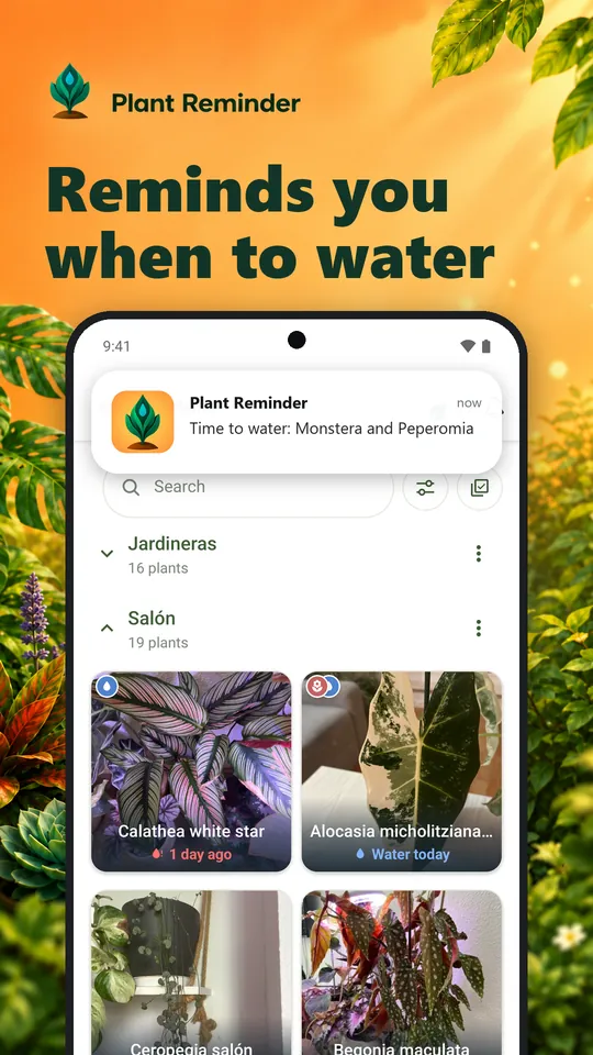 Reminds you when to water