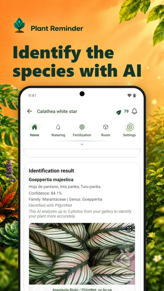 Identify the species with AI