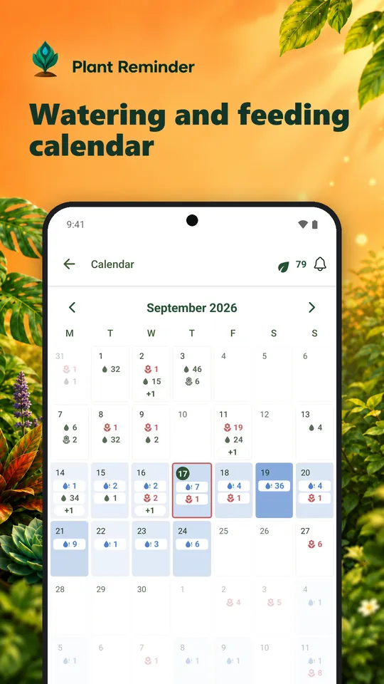 Watering and feeding calendar
