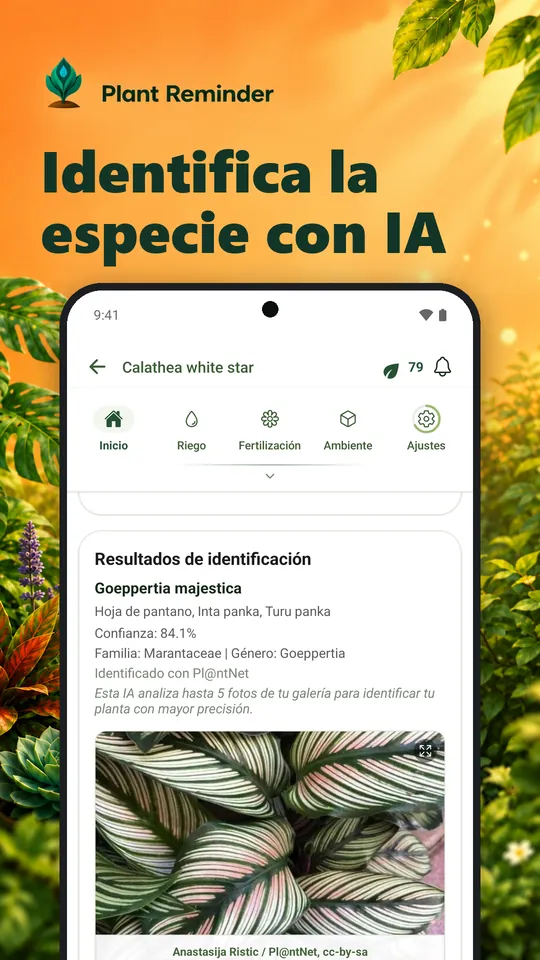 Identifica la especie con IA