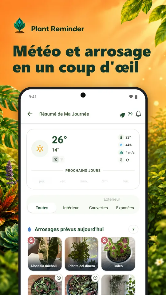 Météo et arrosage en un coup d'œil