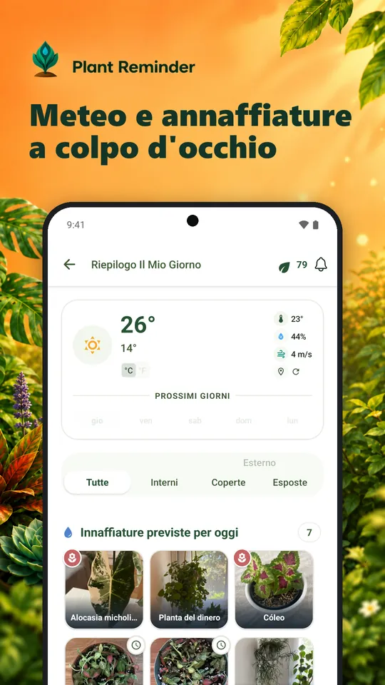 Meteo e annaffiature a colpo d'occhio